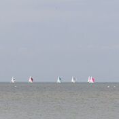 Europees Kampioenschap Javelin - Workum 2025 WhatsApp Image 2025-07-20 at 23.26.09 (8)