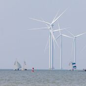 Europees Kampioenschap Javelin - Workum 2025 WhatsApp Image 2025-07-20 at 23.26.37 (6)