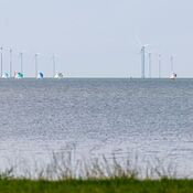 Europees Kampioenschap Javelin - Workum 2025 WhatsApp Image 2025-07-20 at 23.26.38 (8)