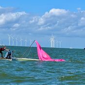 Europees Kampioenschap Javelin - Workum 2025 WhatsApp Image 2025-07-21 at 19.15.16