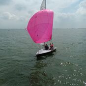 Europees Kampioenschap Javelin - Workum 2025 WhatsApp Image 2025-07-21 at 21.11.51