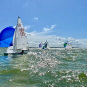 Europees Kampioenschap Javelin - Workum 2025 WhatsApp Image 2025-07-21 at 19.23.03