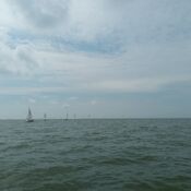 Europees Kampioenschap Javelin - Workum 2025 WhatsApp Image 2025-07-21 at 21.11.48 (1)