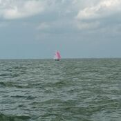 Europees Kampioenschap Javelin - Workum 2025 WhatsApp Image 2025-07-21 at 21.11.46