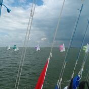 Europees Kampioenschap Javelin - Workum 2025 WhatsApp Image 2025-07-21 at 21.11.30