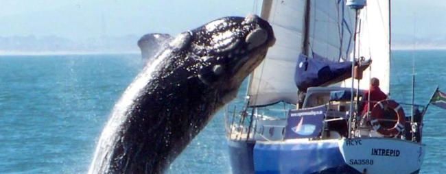 Foutje bedankt... / Err... Need input!