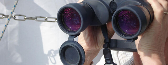 2006: Het jaar van de startlicentie